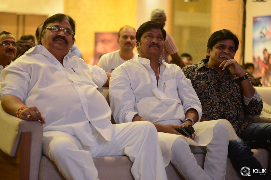 Malupu-Movie-Audio-Launch